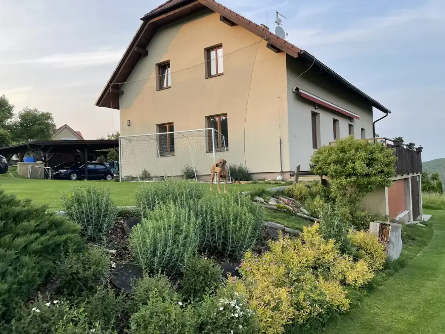 Upravená zahrada u rodinného domu s trávníkem, záhony a okrasnými dřevinami, Beroun